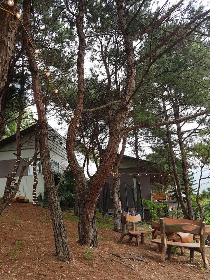 Bachlien Pine Forest Villa ฮานอย ภายนอก รูปภาพ